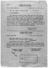 Hlášení zdravotního rady (Muzeum romské kultury)